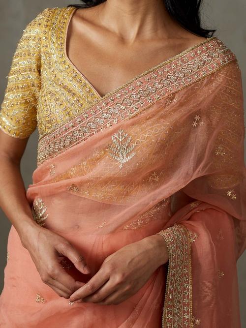 Coral Sterling Saree With Stitched Blouse - View 2